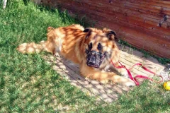 Bouba