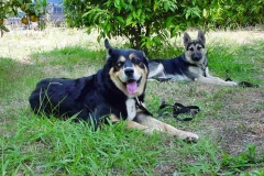 Bud & Vicky