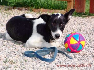 Anouk