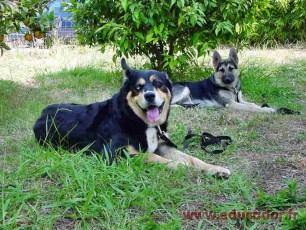 Bud & Vicky