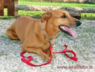 Louna