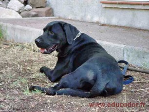 Samy