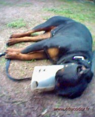 Tania3