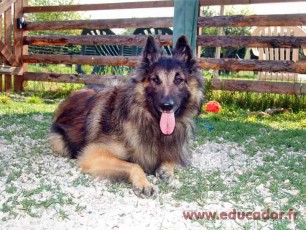Ulysse5